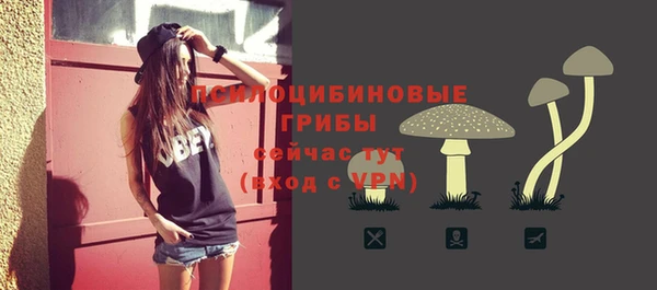МДМА Каменногорск