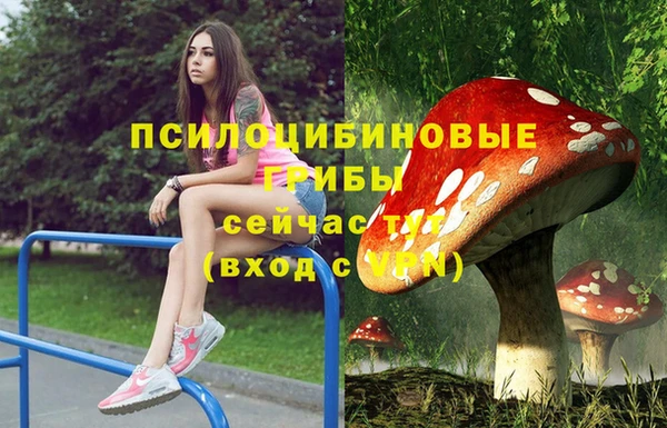 крисы Краснотурьинск
