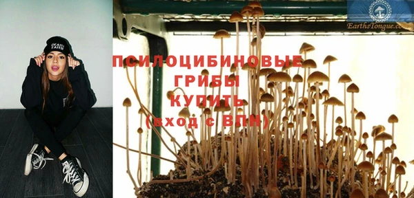 эйфоретик Касимов
