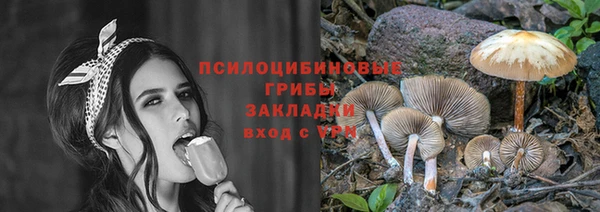 первитин Каменка