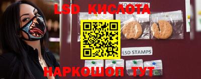 PSILOCYBIN Канаш