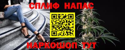 кокс Кандалакша