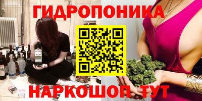 круглые Камышлов