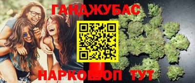 PSILOCYBIN Канаш
