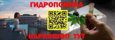 PSILOCYBIN Канаш