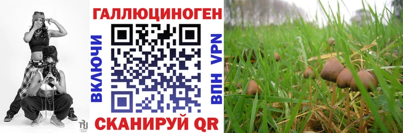 Псилоцибиновые грибы MAGIC MUSHROOMS  Кубинка 