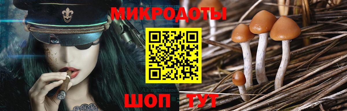 Кубинка  Псилоцибиновые грибы MAGIC MUSHROOMS  продажа наркотиков  Вход с VPN 
