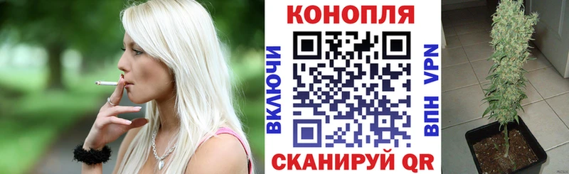 закладки  Кубинка  Каннабис ГИДРОПОН 